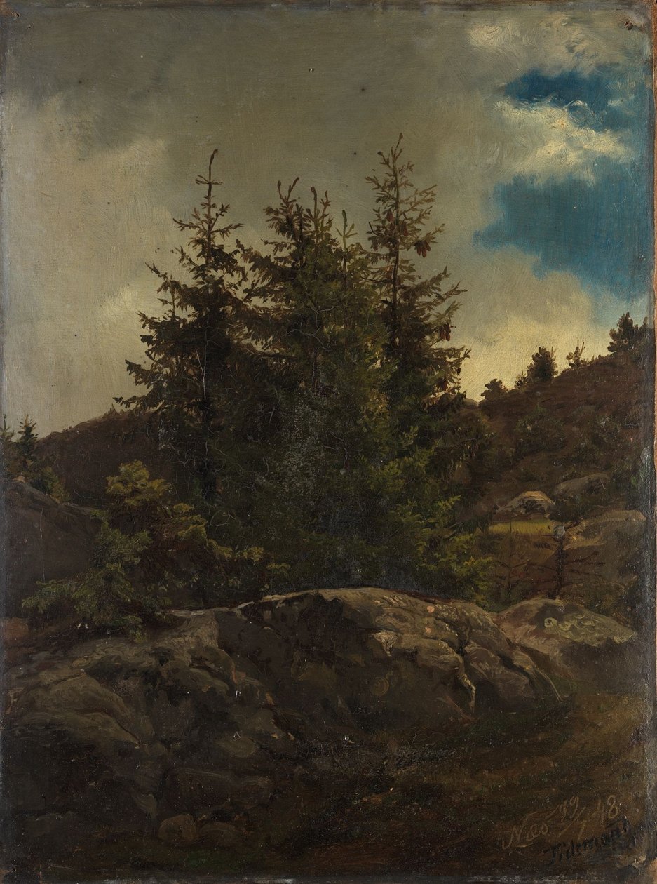 Landskap från Nes i Hallingdal av Adolph Tidemand