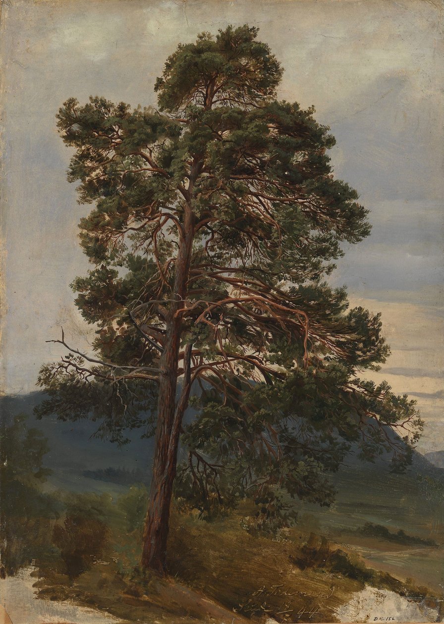 Studie av en tall av Adolph Tidemand