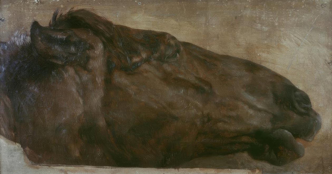 Häststudie. Huvud i sidovy till höger av Adolph Menzel
