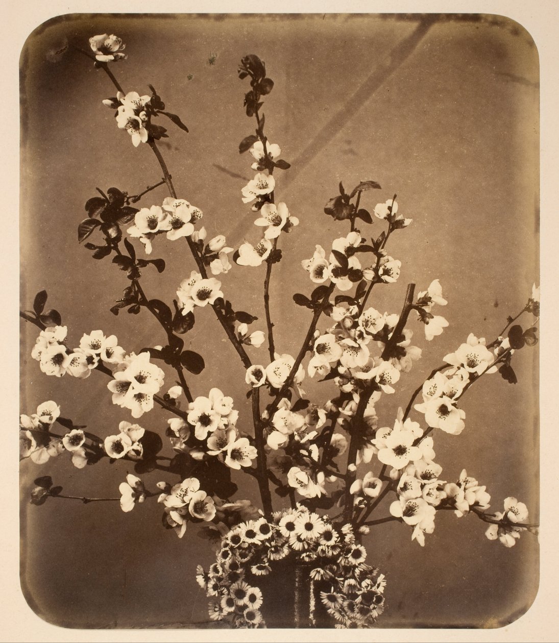 Blommigt stilleben av Adolphe Braun