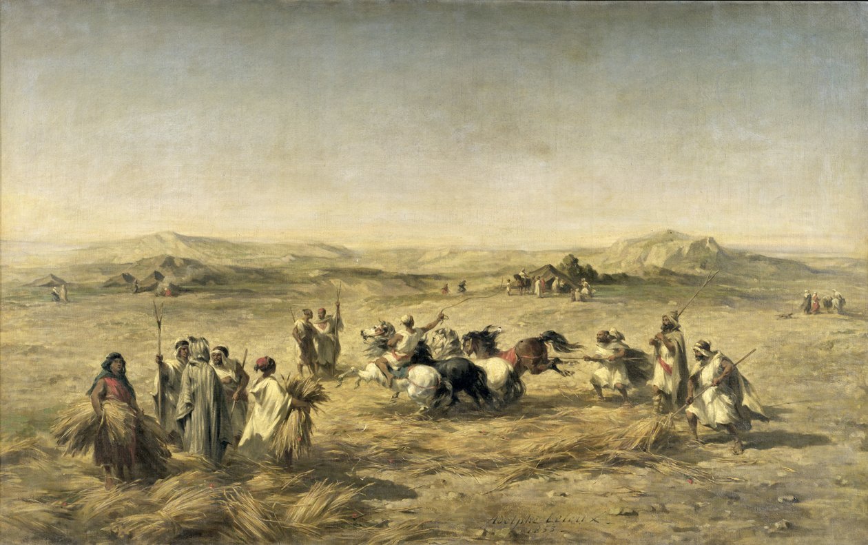 Att tröska vete i Algeriet, 1853 av Adolphe Pierre Leleux