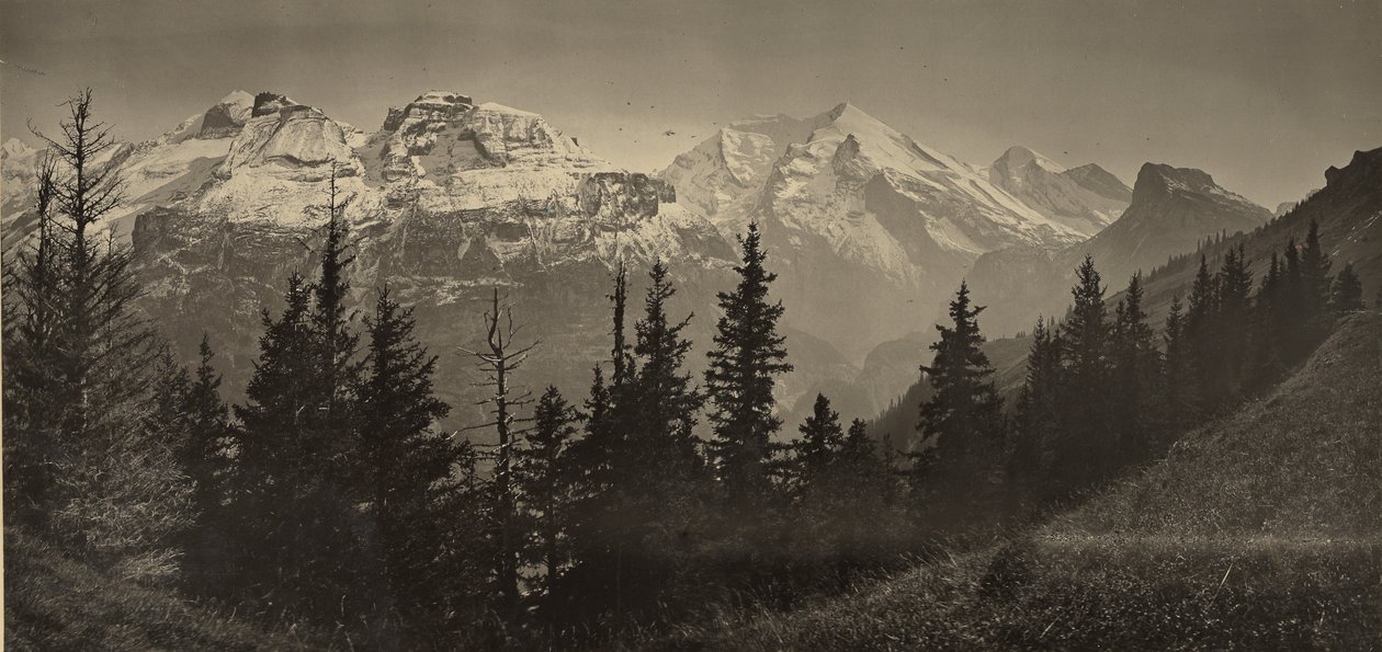 [Alplandskap] av Adolphe Braun