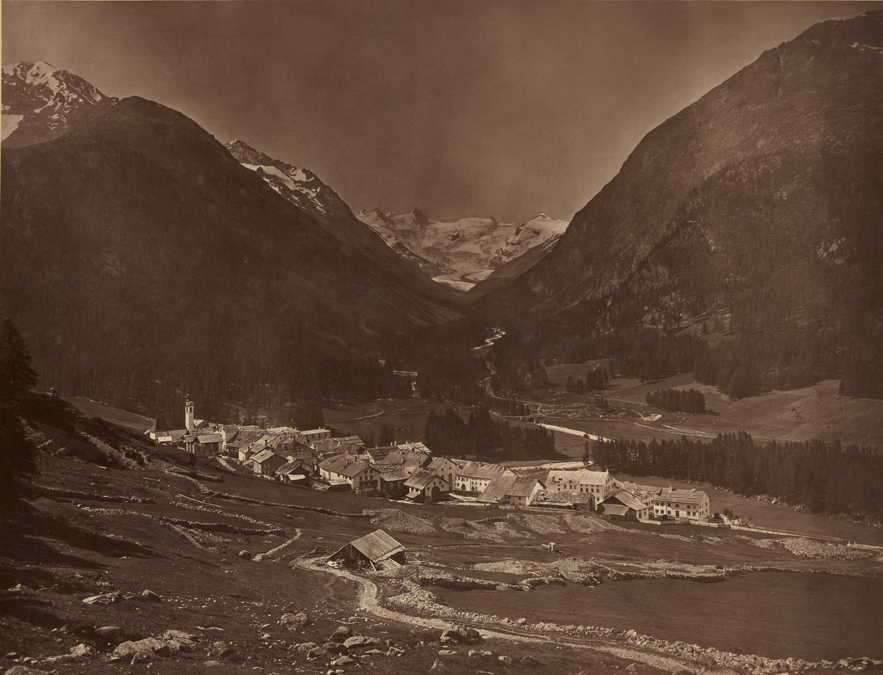 Pontresina av Adolphe Braun