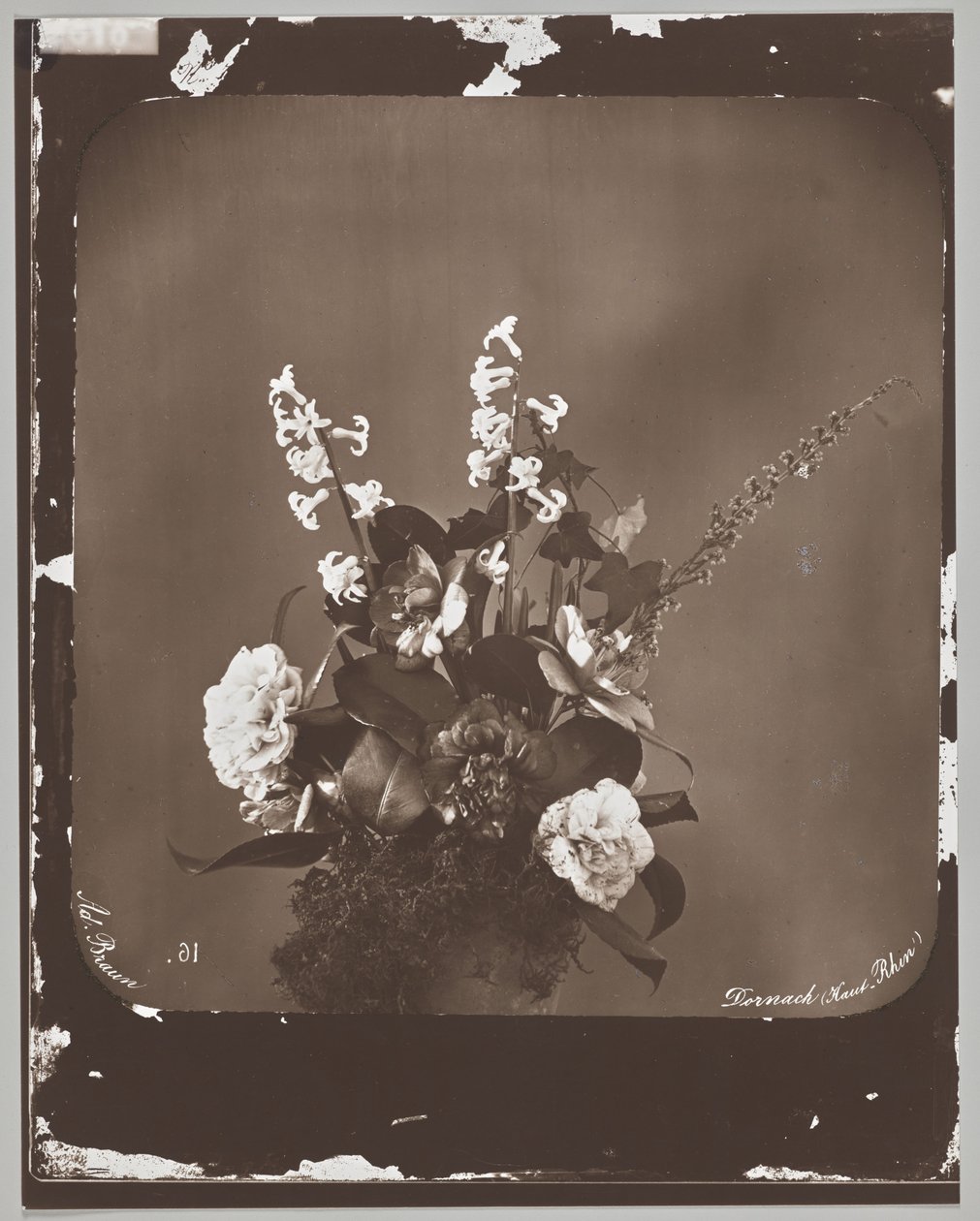 Utan titel (blomsterarrangemang) av Adolphe Braun