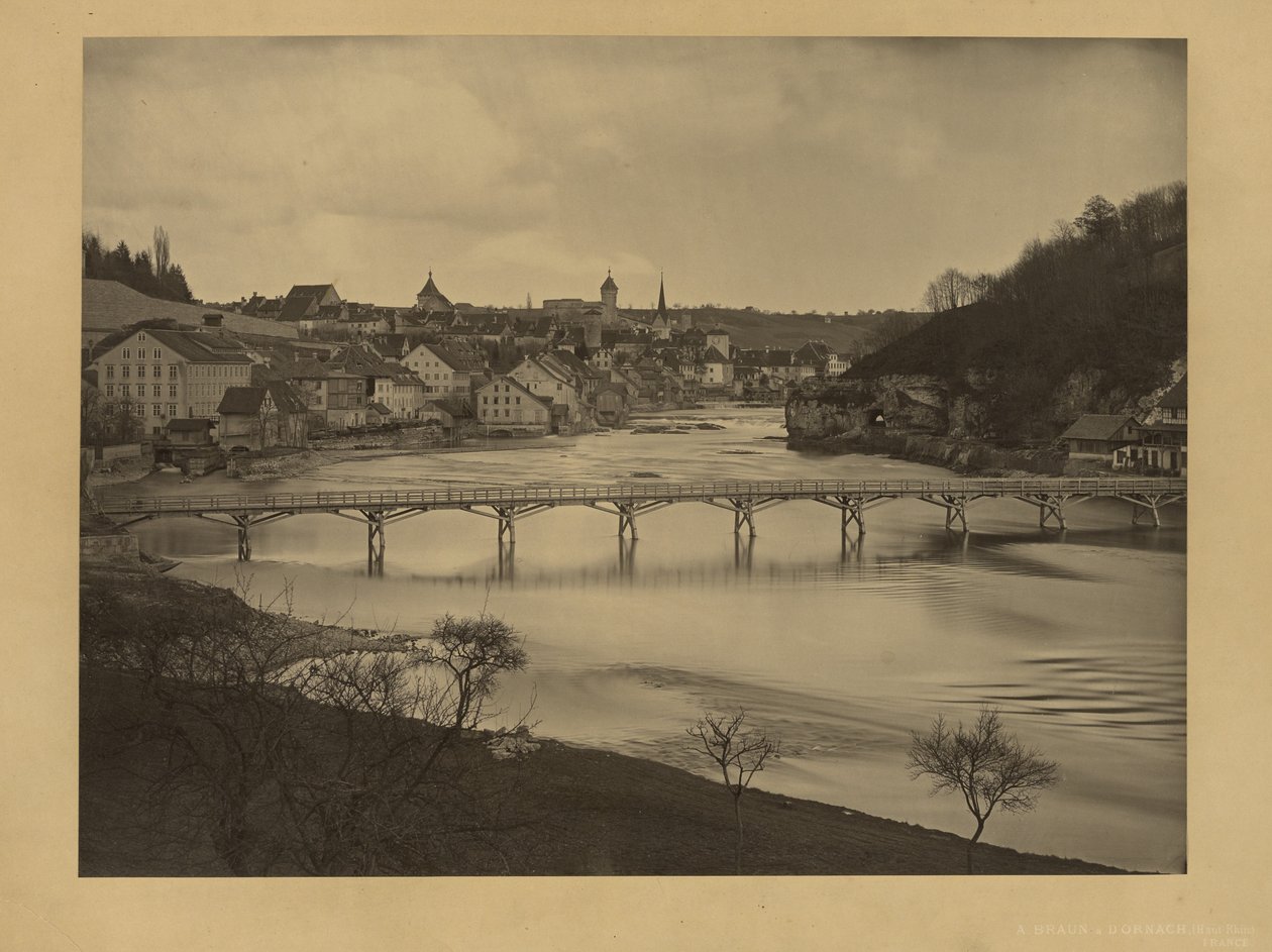 [Utsikt över Schaffhausen, Schweiz] av Adolphe Braun