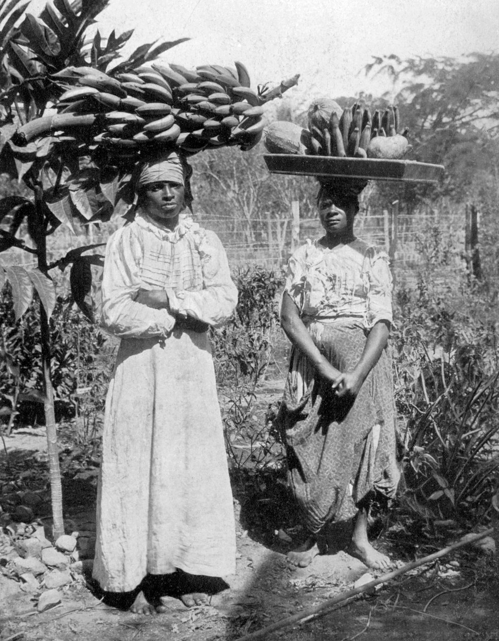 Fruktförsäljare, Jamaica, c1905 av Adolphe Duperly and Son