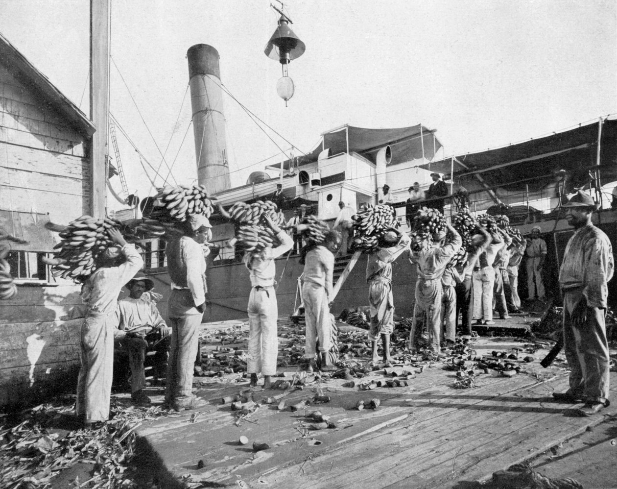 Laddar bananer, Port Antonio, Jamaica, c1905. av Adolphe Duperly and Son