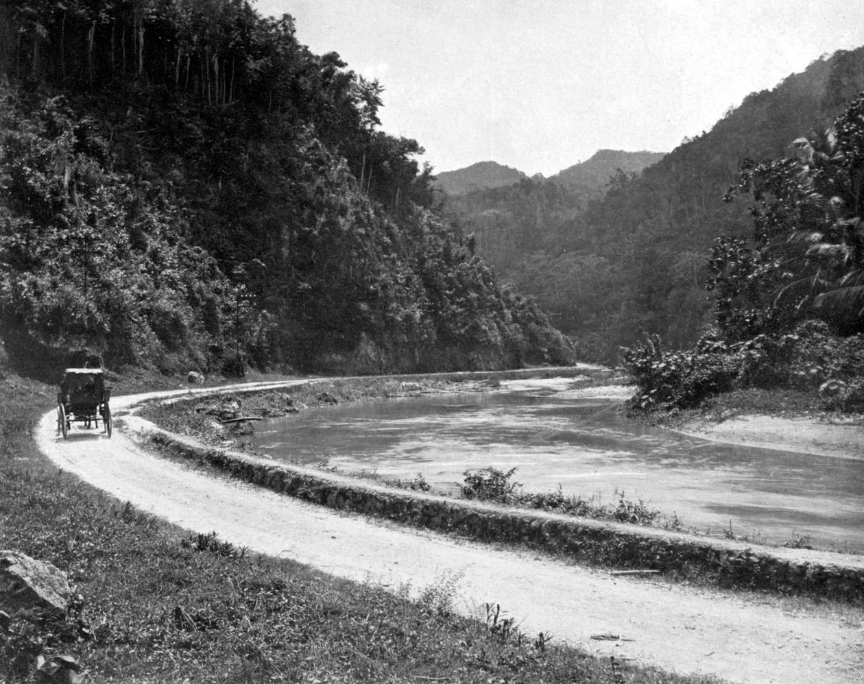 Road to Bog Walk, Jamaica, c1905. av Adolphe Duperly and Son