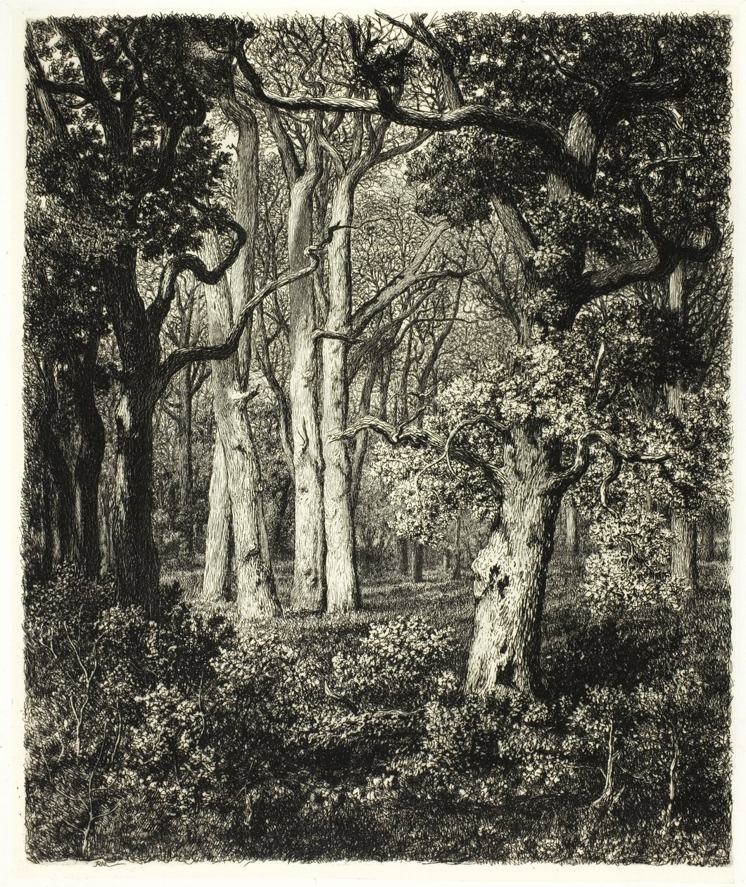 Old Oaks vid Bas Bréau av Adolphe Martial Potemont