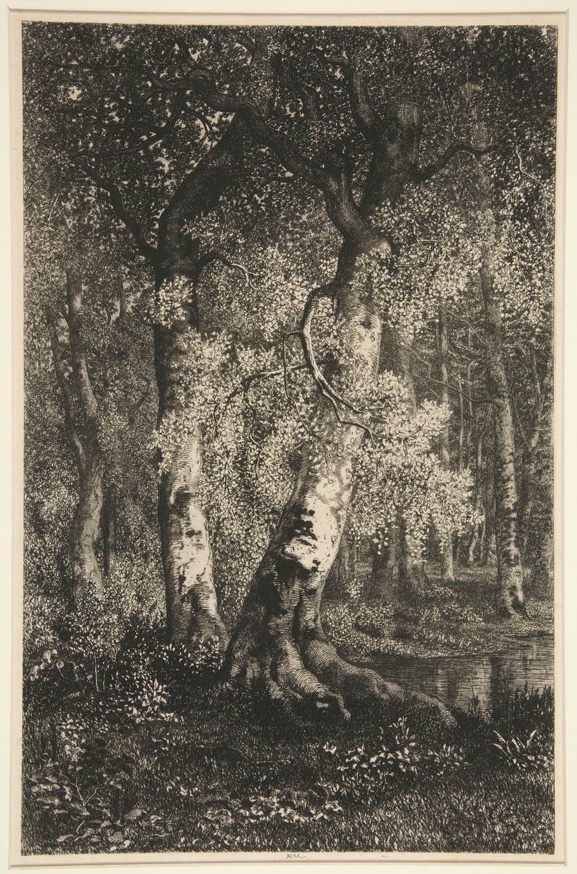Bokarna av Adolphe Martial Potemont