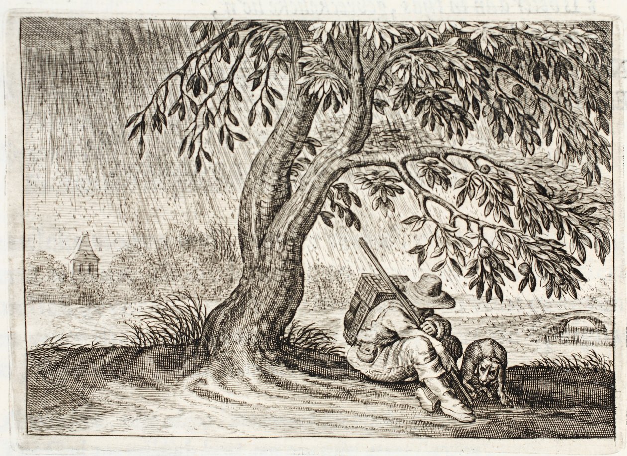 Shelter, illustration från 