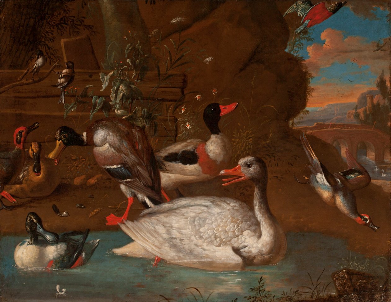 En norsk vit gås omgiven av en Shelduck, gräsand, skyfflar, krickor och långsvansade bröst i ett italienskt landskap vid skymningen, 1703 av Adriaen van Oolen