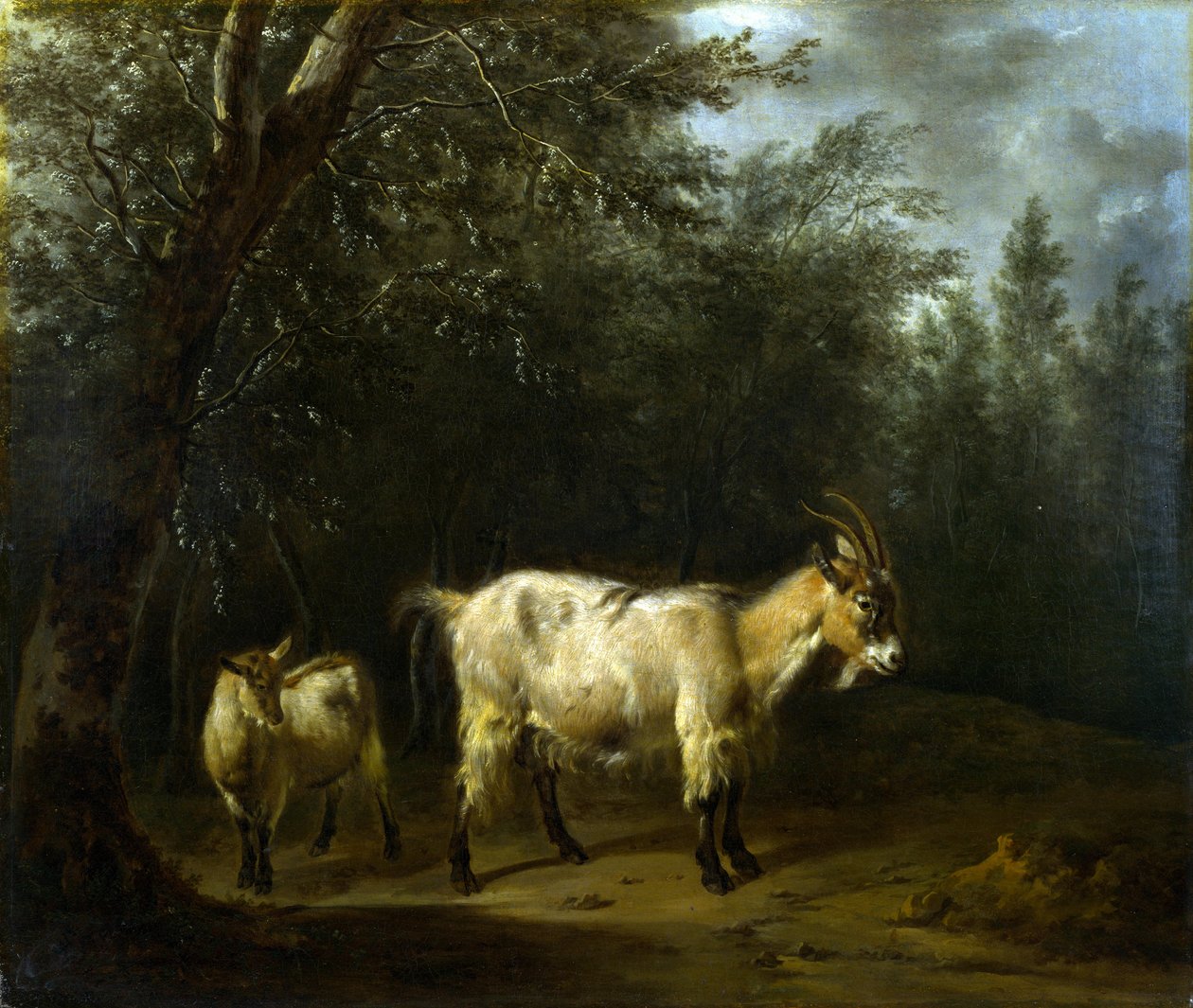 A Goat and a Kid av Adriaen van de Velde