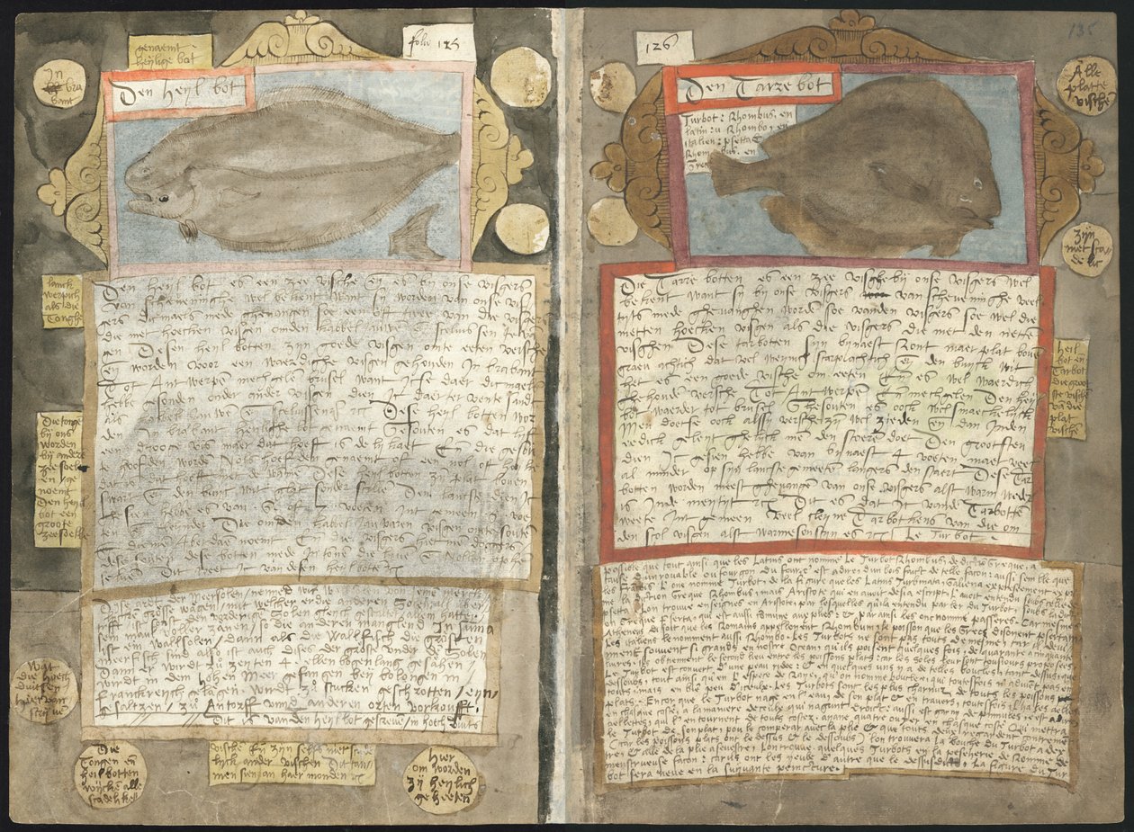 Adriaen Coenens Visboeck av Adriaen Coenen