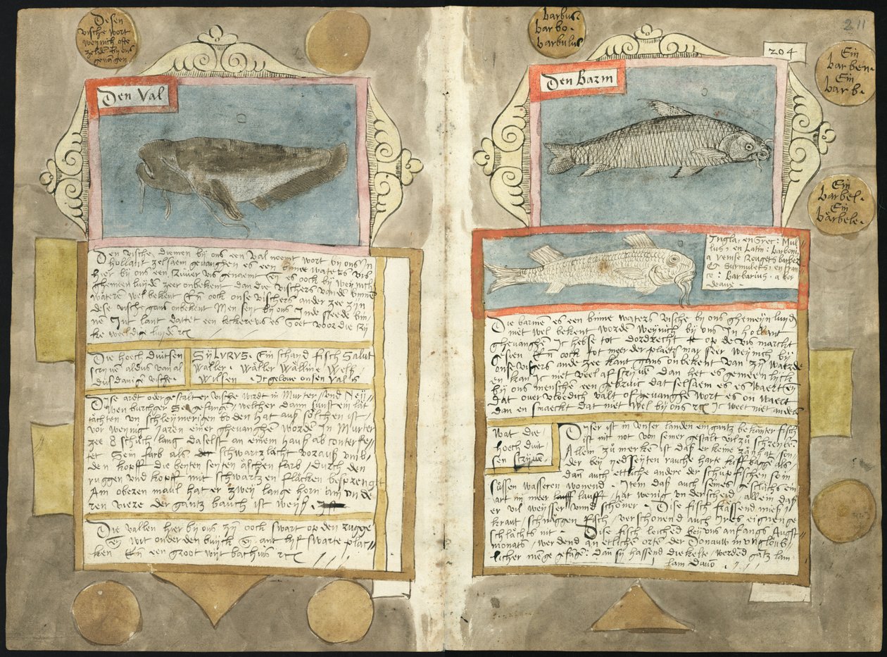 Adriaen Coenens Visboeck - KB 78 E 54 - folios 210v (vänster) och 211r (höger) av Adriaen Coenen