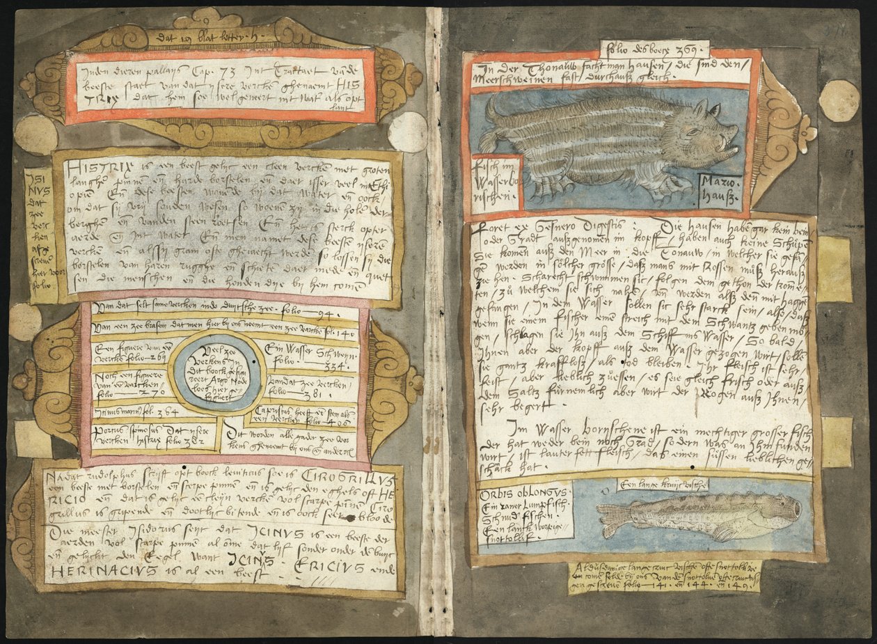 Adriaen Coenens Visboeck - KB 78 E 54 - folios 370v (vänster) och 371r (höger) av Adriaen Coenen