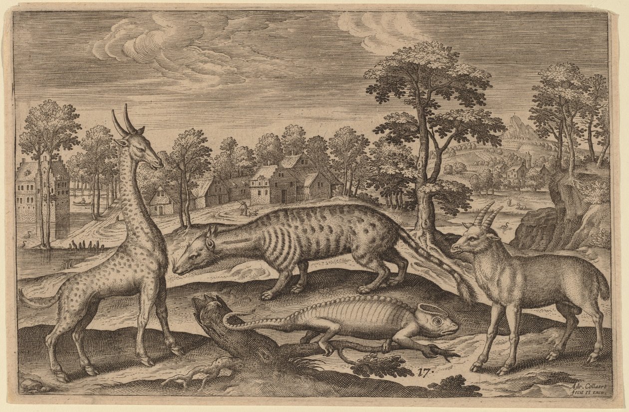 En giraff, en kameleont, en sivet och en antilop av Adriaen Collaert
