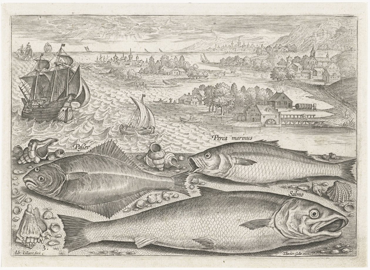 Tre fiskar på stranden Fiske (serietitel) Piscium vivae-ikoner (serietitel) av Adriaen Collaert