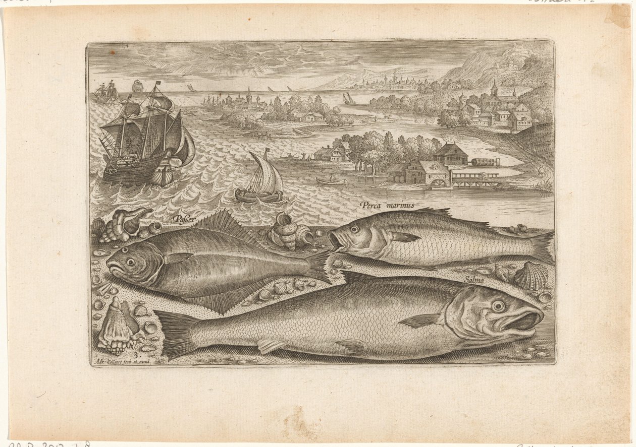 Tre fiskar på stranden Fiske (serietitel) Piscium vivae-ikoner (serietitel) av Adriaen Collaert