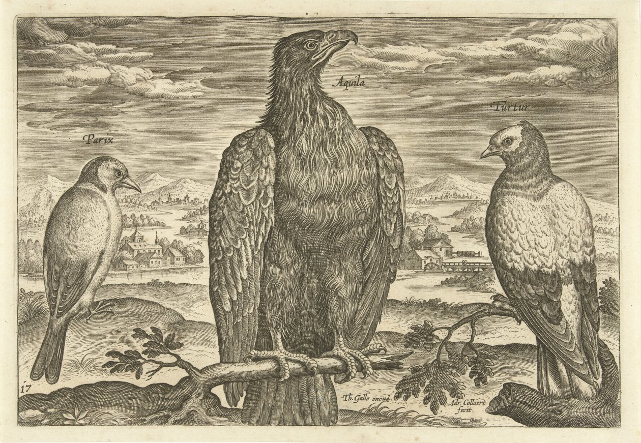 Tre fåglar i ett landskap Avium Vivae (serietitel) Fåglar (serietitel) av Adriaen Collaert