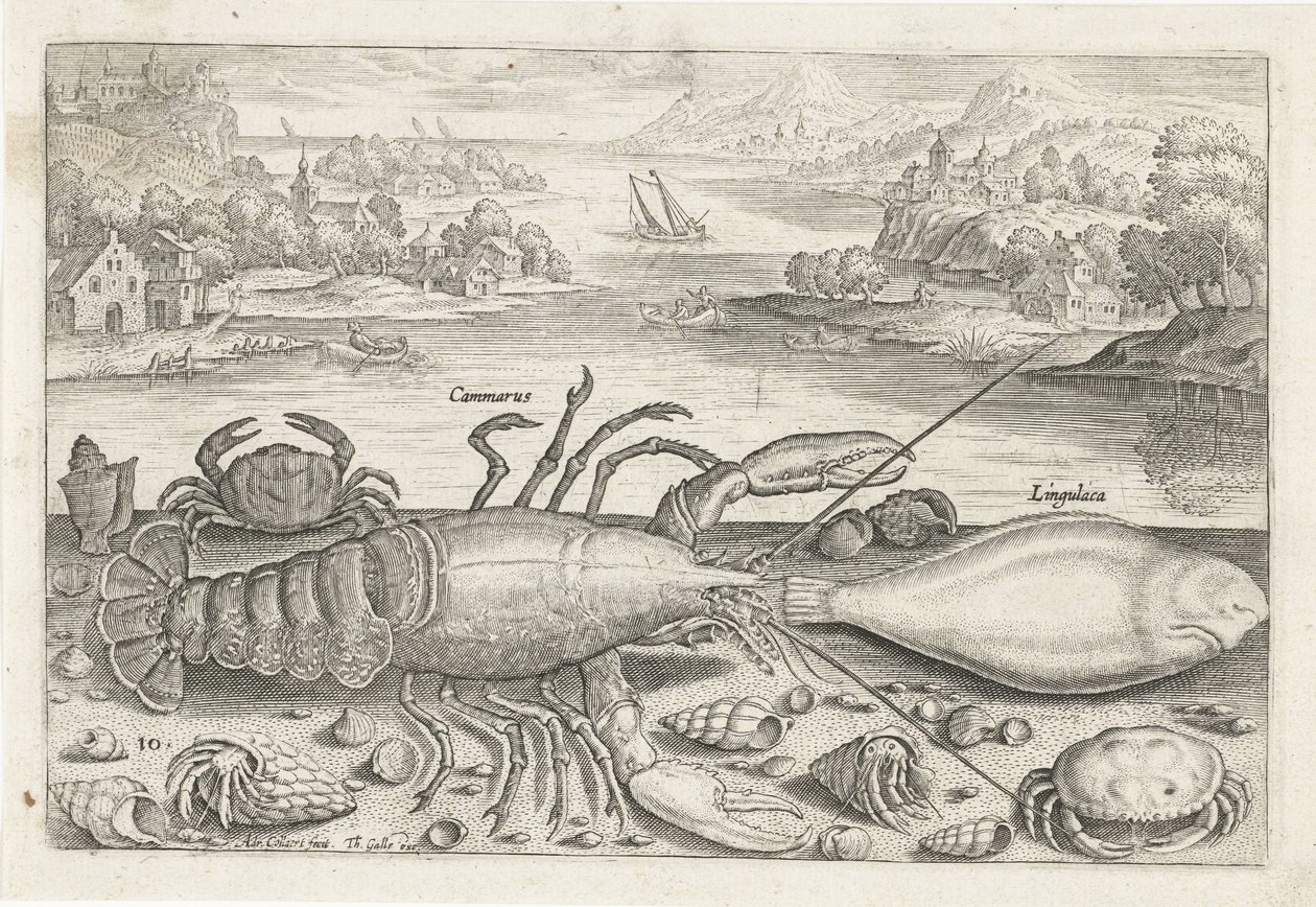 En fisk och några kräftdjur på stranden Fiske (serietitel) Piscivm vivae-ikoner (serietitel) av Adriaen Collaert