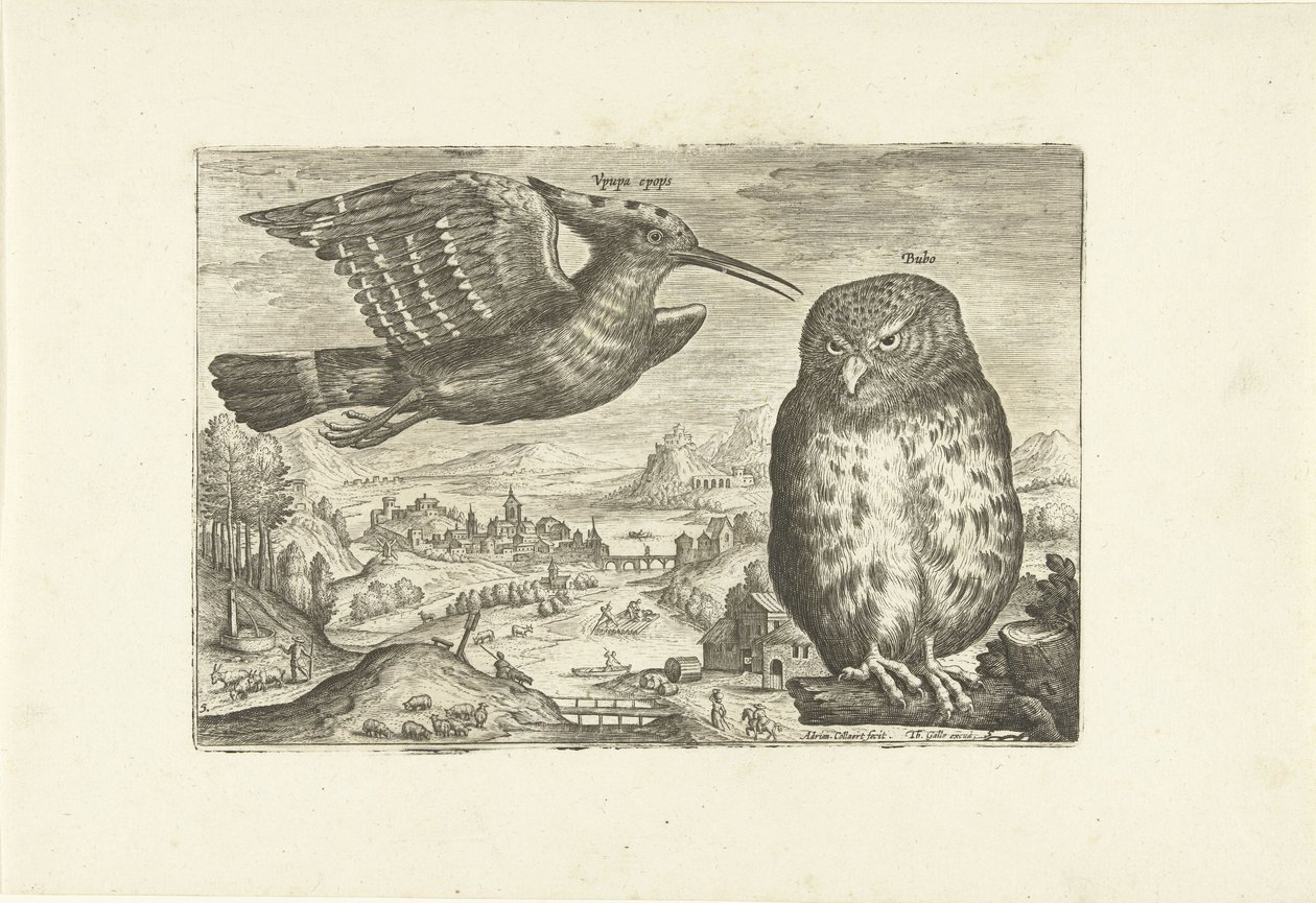 Några fåglar i ett landskap Fåglar (serietitel) Avivm vivae (serietitel) av Adriaen Collaert