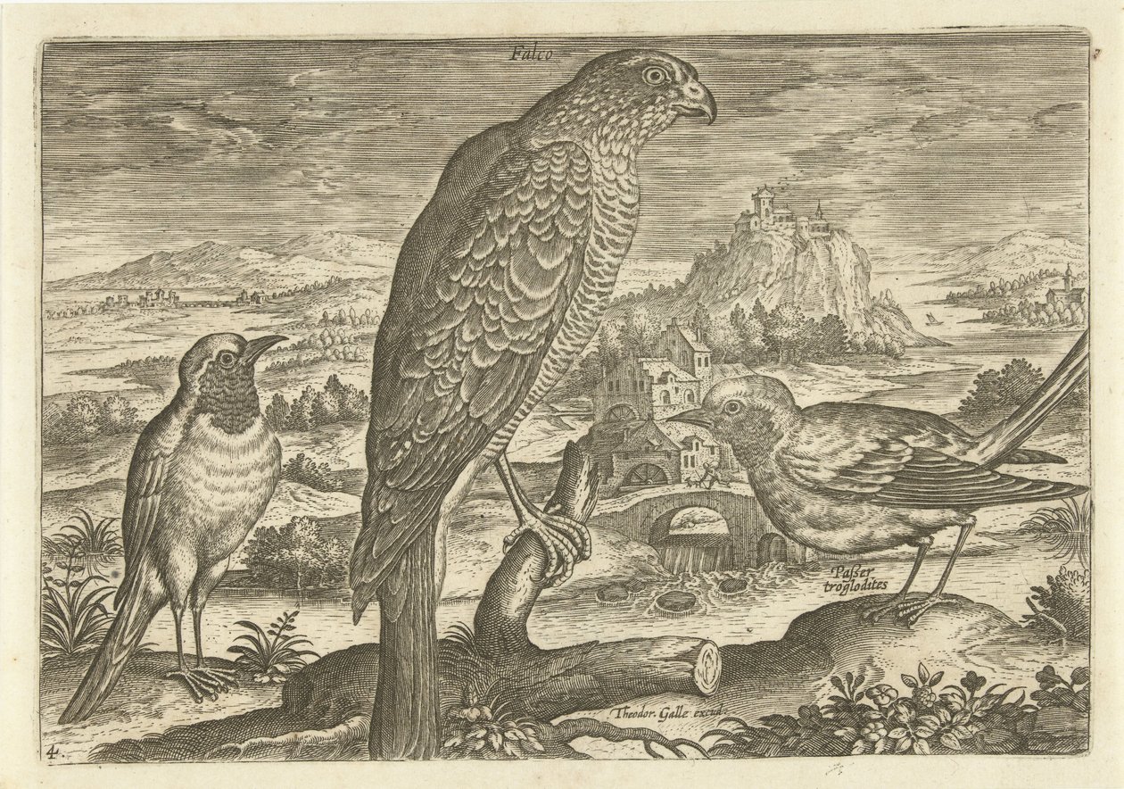 Några fåglar i ett landskap Fåglar (serietitel) Avivm vivae (serietitel) av Adriaen Collaert