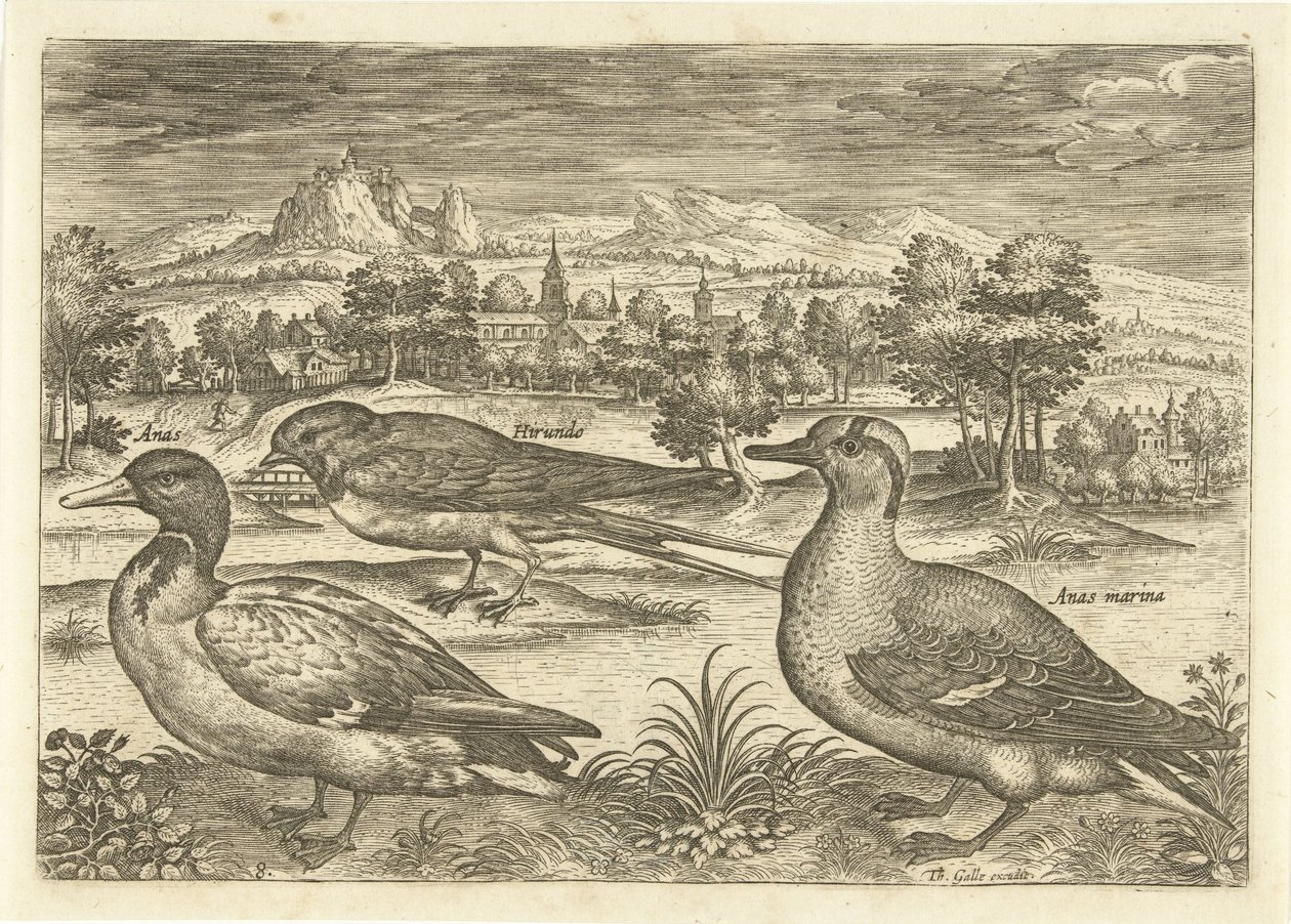 Några fåglar i ett landskap Fåglar (serietitel) Avium vivae (serietitel) av Adriaen Collaert