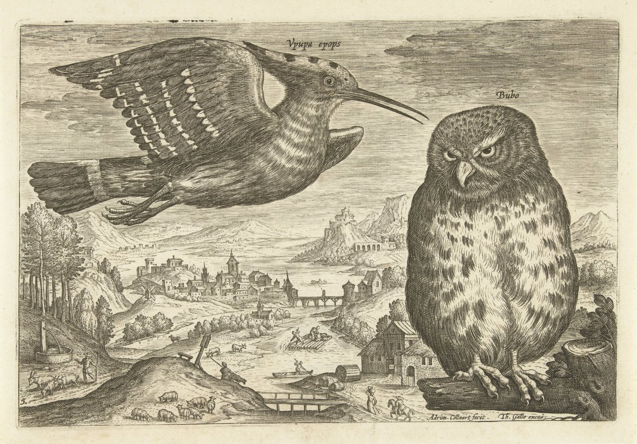 Några fåglar i ett landskap Fåglar (serietitel) Avivm vivae (serietitel) av Adriaen Collaert