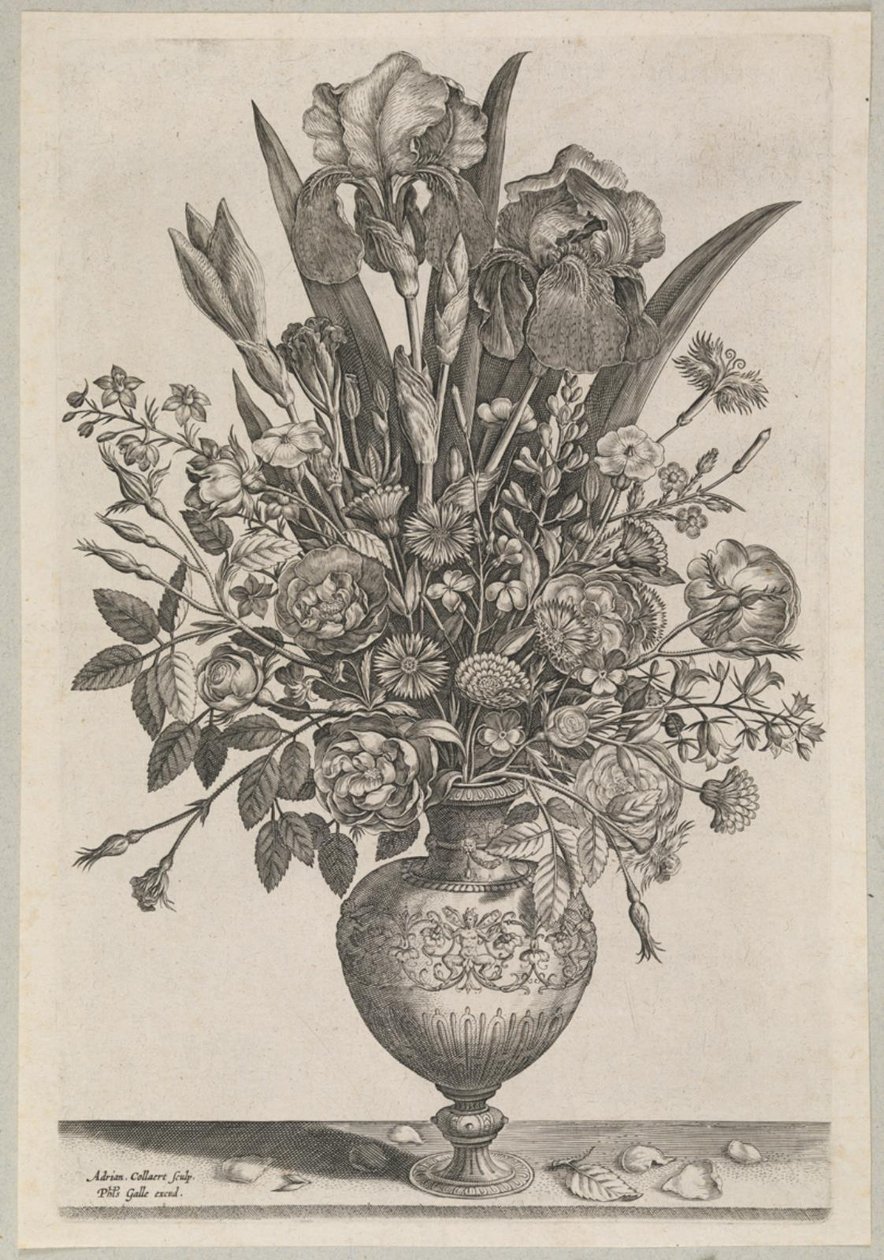 Blomstycke med iris av Adriaen Collaert