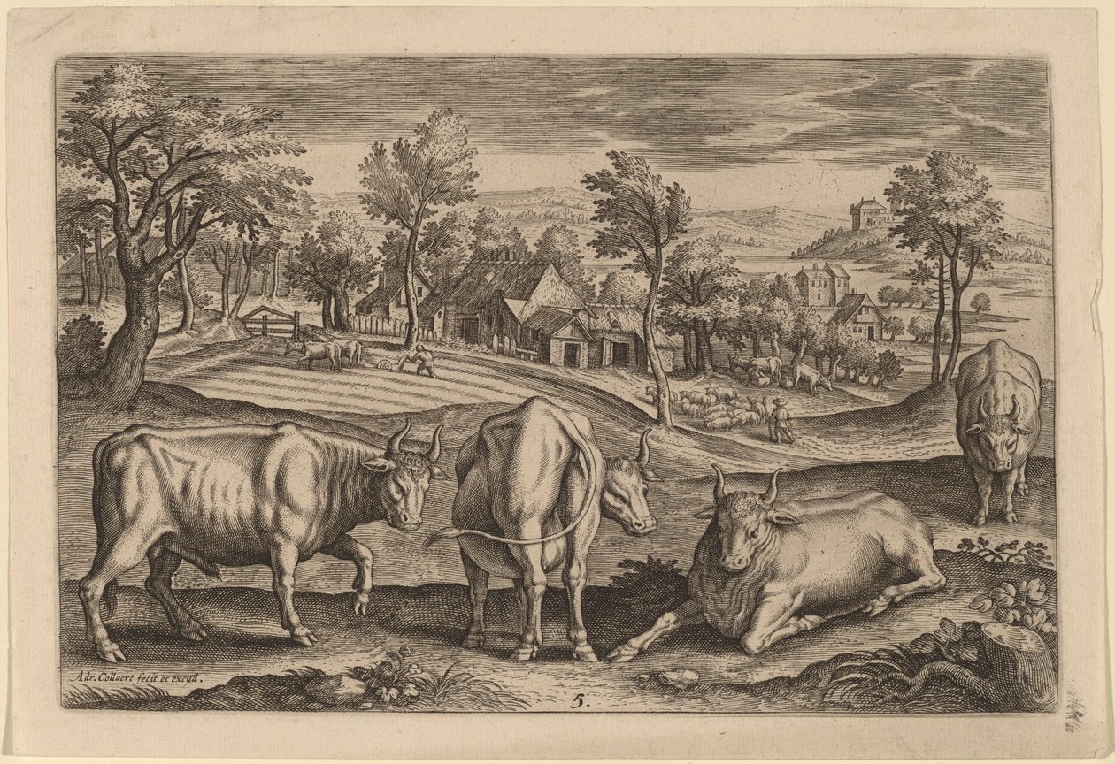 Fyra tjurar av Adriaen Collaert