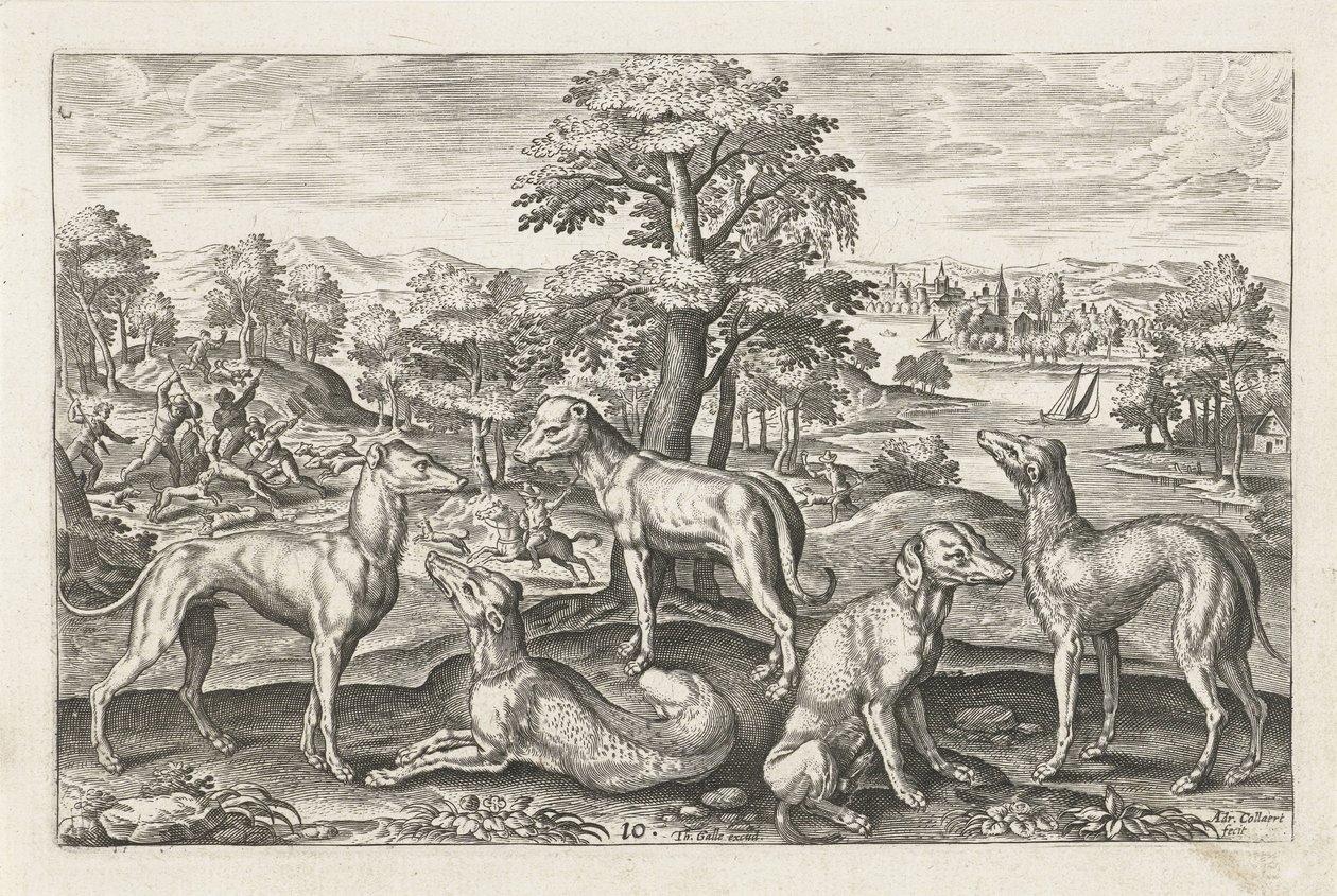 jakthundar Fyrbenta djur (serietitel) Animalivm Qvaddrvpedvm (serietitel) av Adriaen Collaert