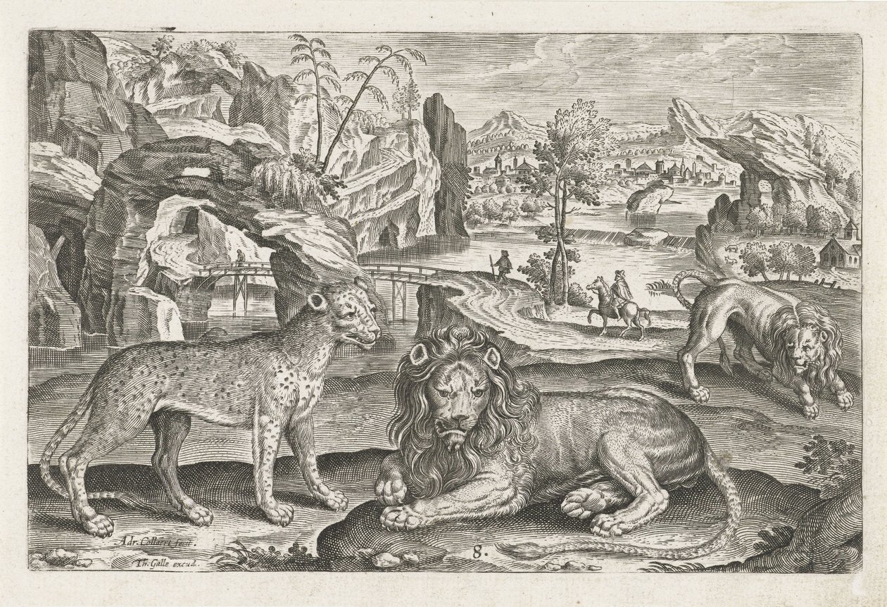 Lejon och leopard Fyrbenta djur (serietitel) Animalivm Qvaddrvpedvm (serietitel) av Adriaen Collaert