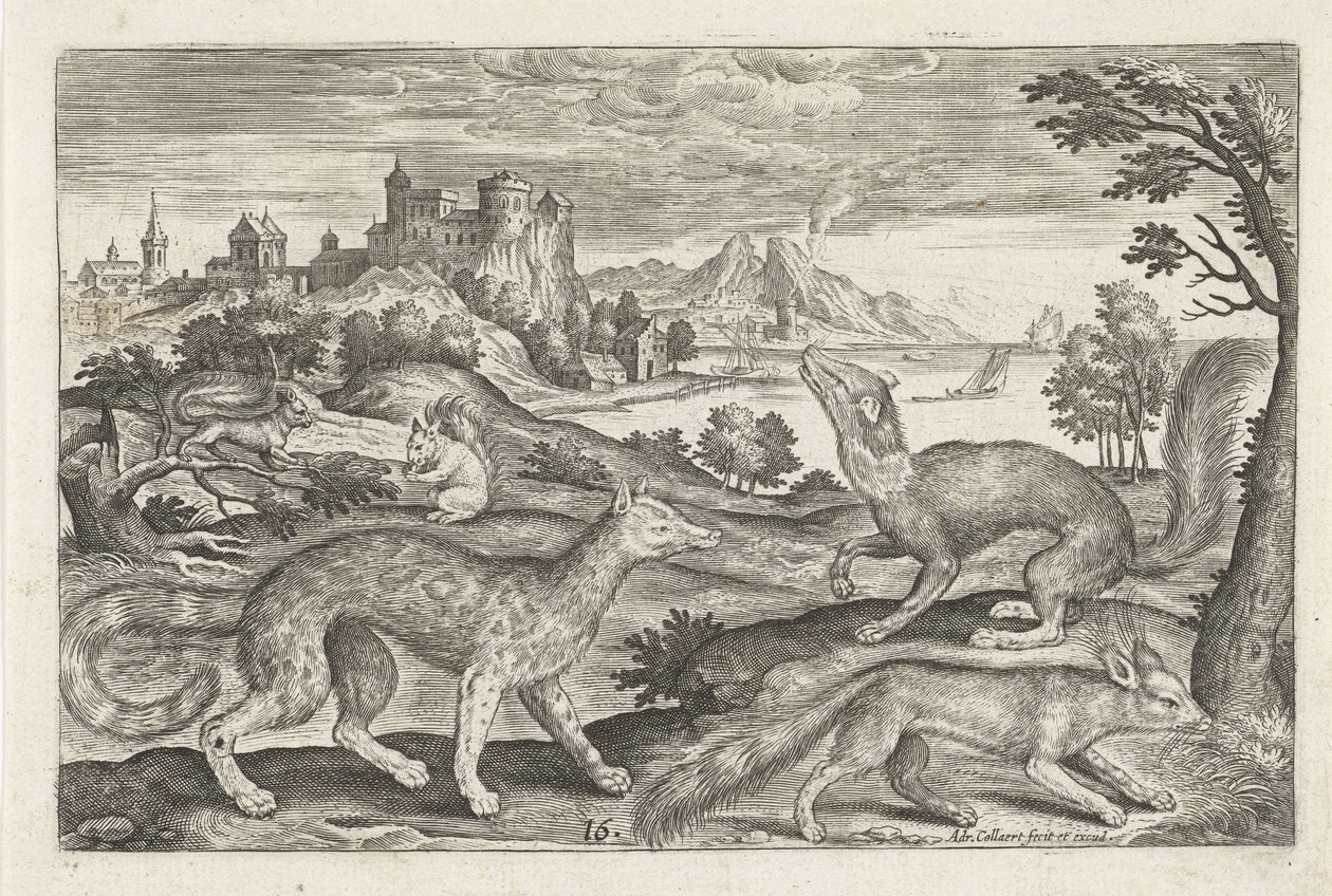 Mård, ekorrar och en räv Fyrbenta djur (serietitel) Animalivm Qvaddrvpedvm (serietitel) av Adriaen Collaert