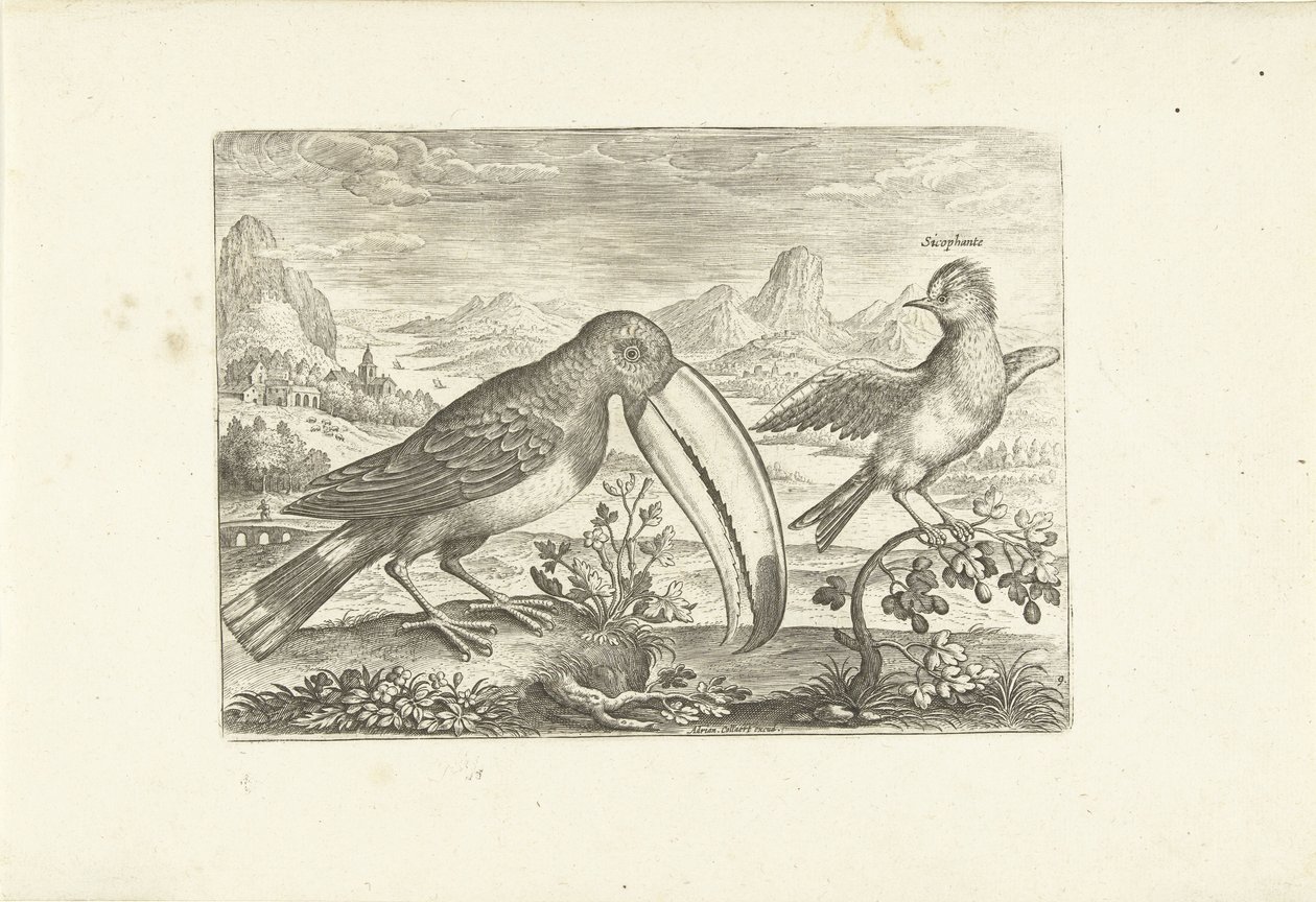Två exotiska fåglar i ett landskap Fåglar (serietitel) Avium vivae (serietitel) av Adriaen Collaert
