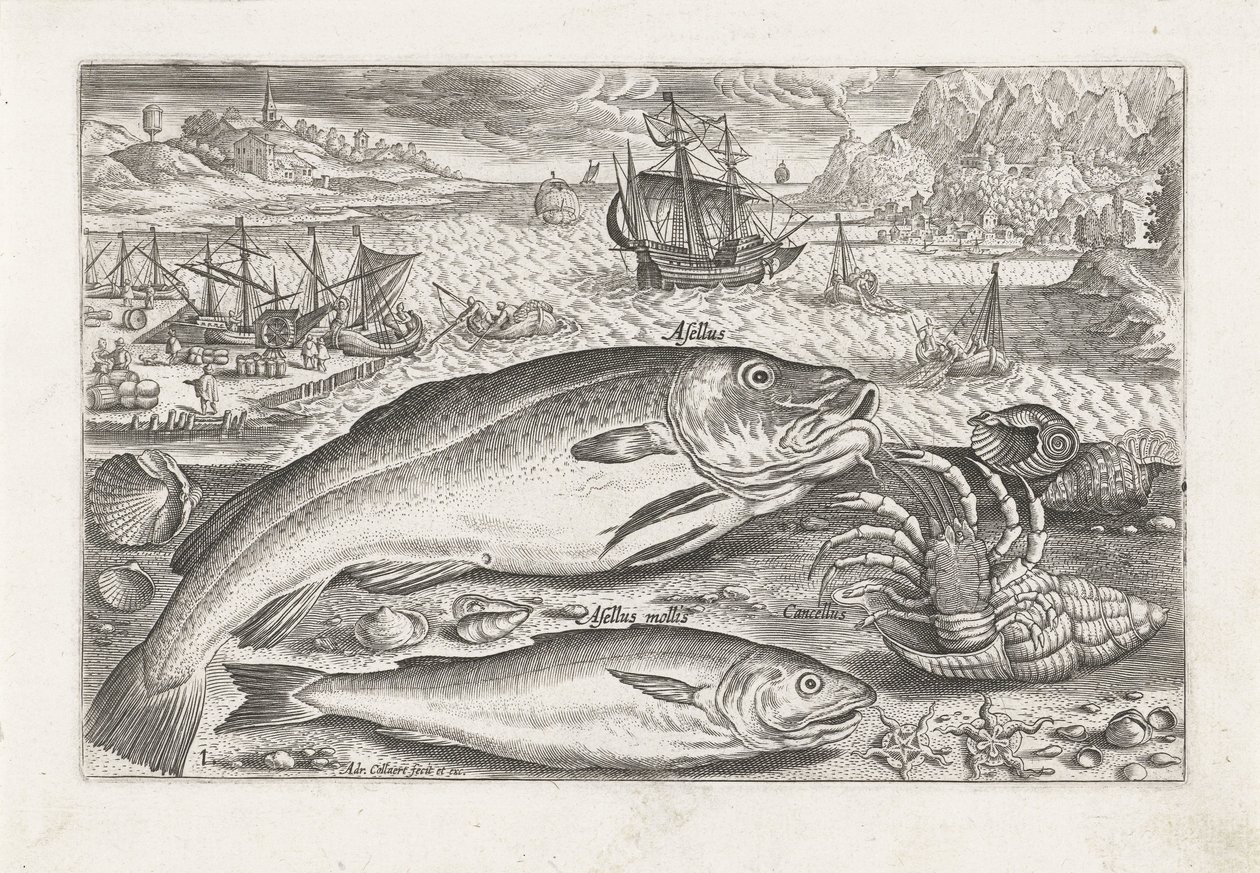 Två fiskar på stranden Fiske (serietitel) Piscium vivae-ikoner (serietitel) av Adriaen Collaert