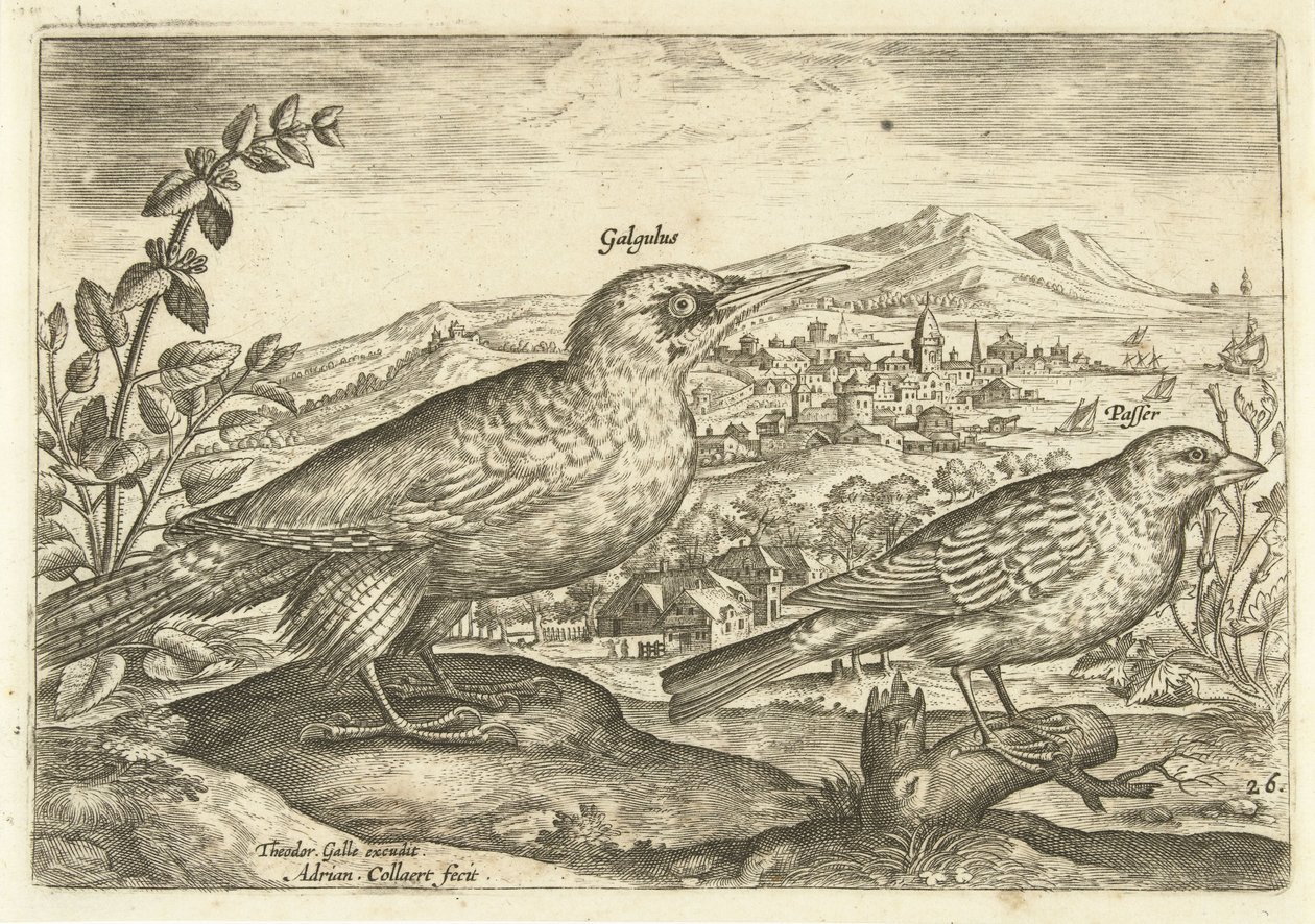 Två fåglar i ett landskap Avium Vivae (serietitel) Fåglar (serietitel) av Adriaen Collaert