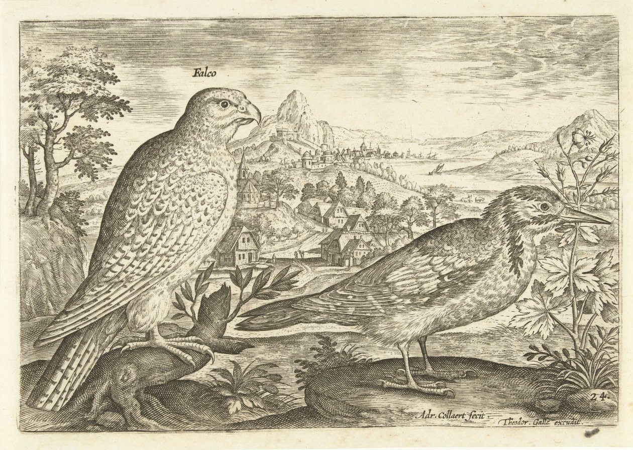 Två fåglar i ett landskap Avium Vivae (serietitel) Fåglar (serietitel) av Adriaen Collaert