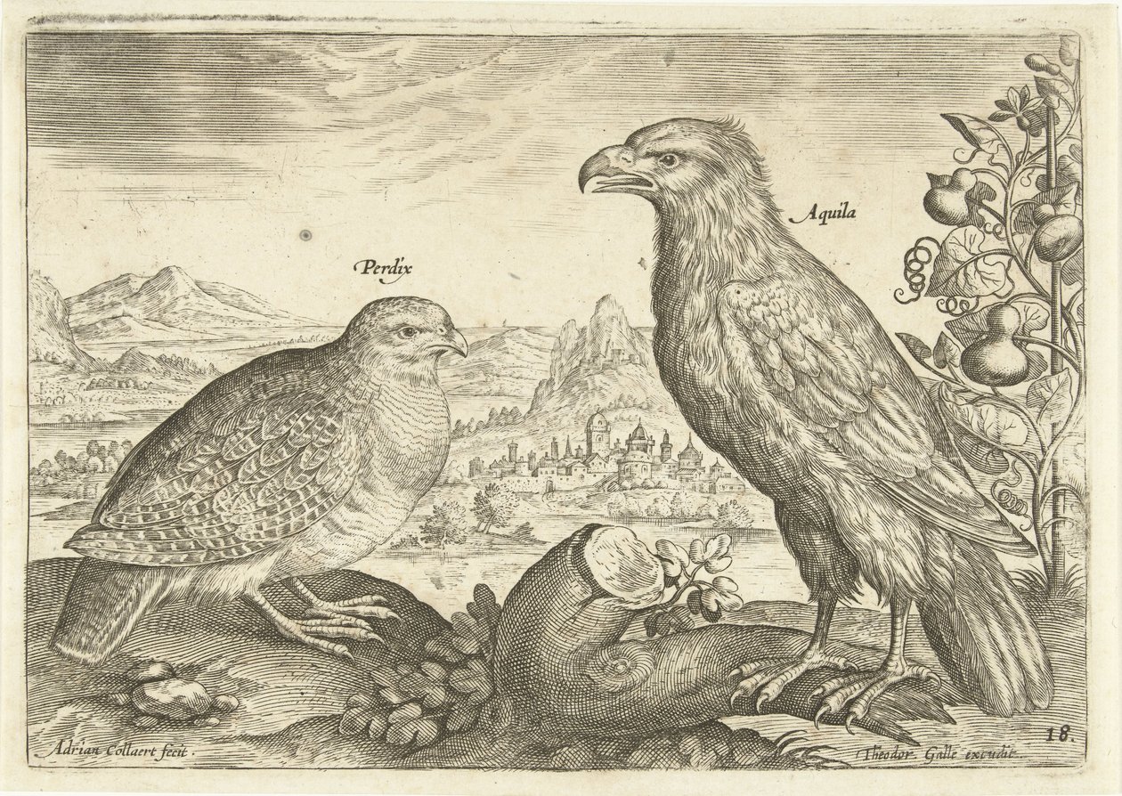 Två fåglar i ett landskap Avium Vivae (serietitel) Fåglar (serietitel) av Adriaen Collaert
