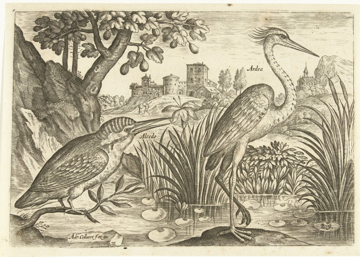 Två fåglar i ett landskap Fåglar (serietitel) Avium Vivae (serietitel) av Adriaen Collaert