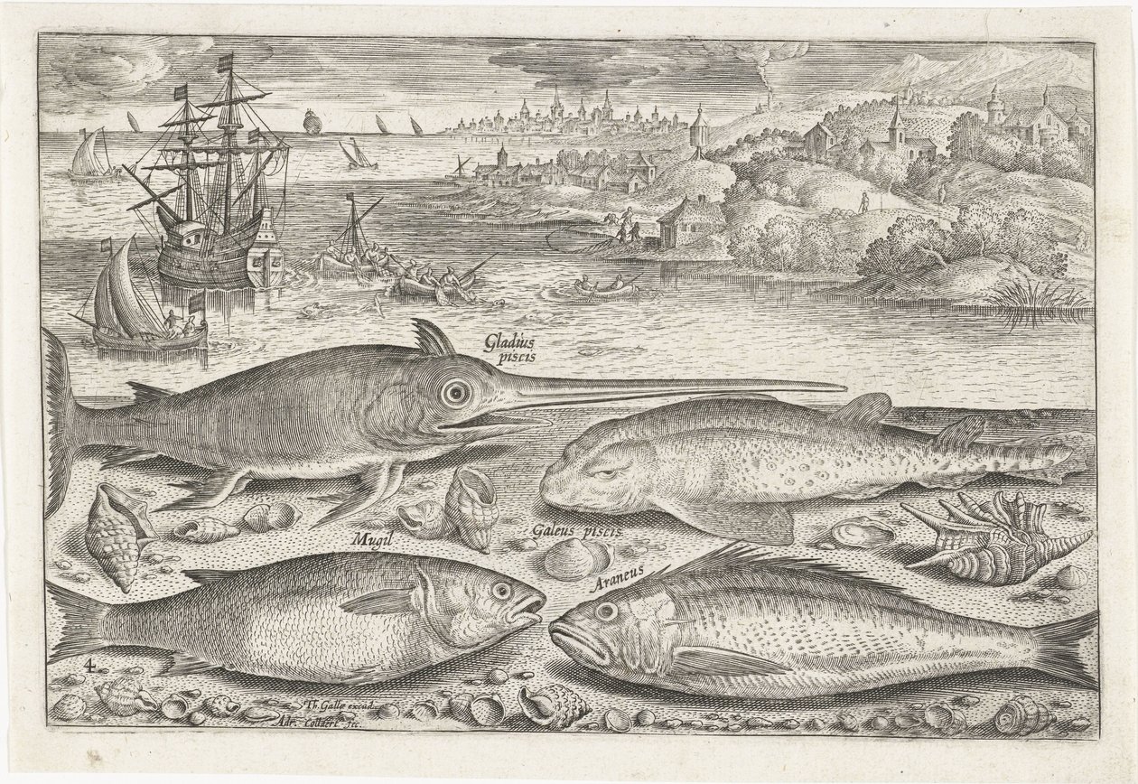 Fyra fiskar på stranden Fiske (serietitel) Piscium vivae-ikoner (serietitel) av Adriaen Collaert