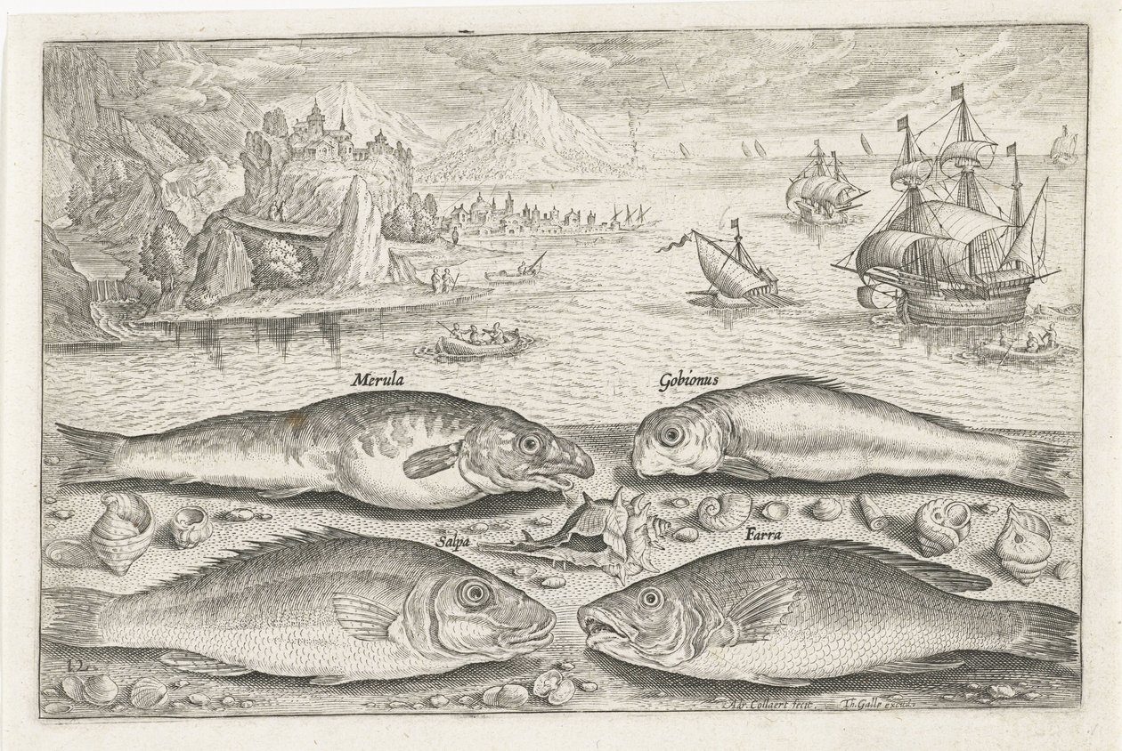 Fyra fiskar på stranden Fiske (serietitel) Piscium vivae-ikoner (serietitel) av Adriaen Collaert