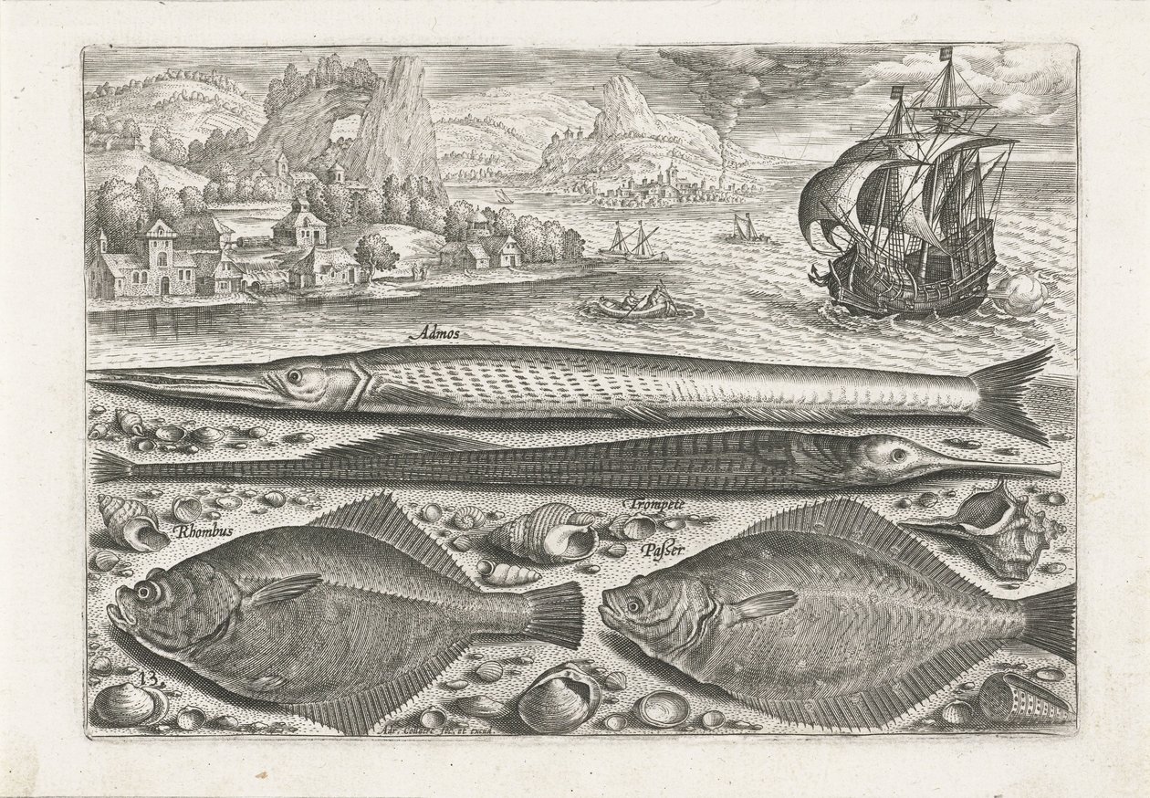 Fyra fiskar på stranden Fiske (serietitel) Piscium vivae-ikoner (serietitel) av Adriaen Collaert