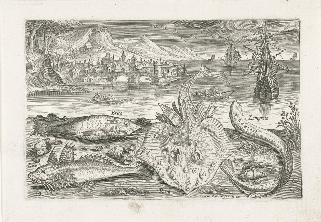 Fyra fiskar på stranden Fiske (serietitel) Piscium vivae-ikoner (serietitel) av Adriaen Collaert