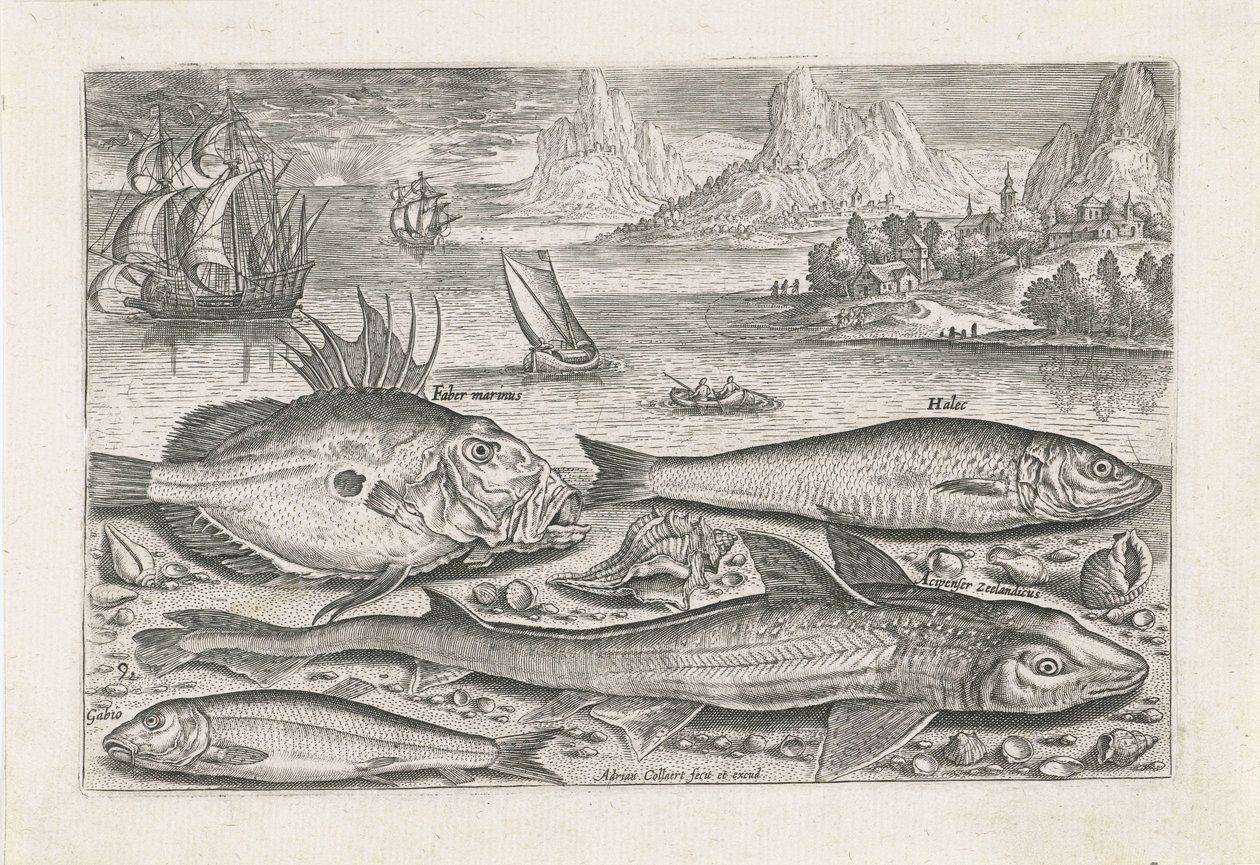 swedish av Adriaen Collaert