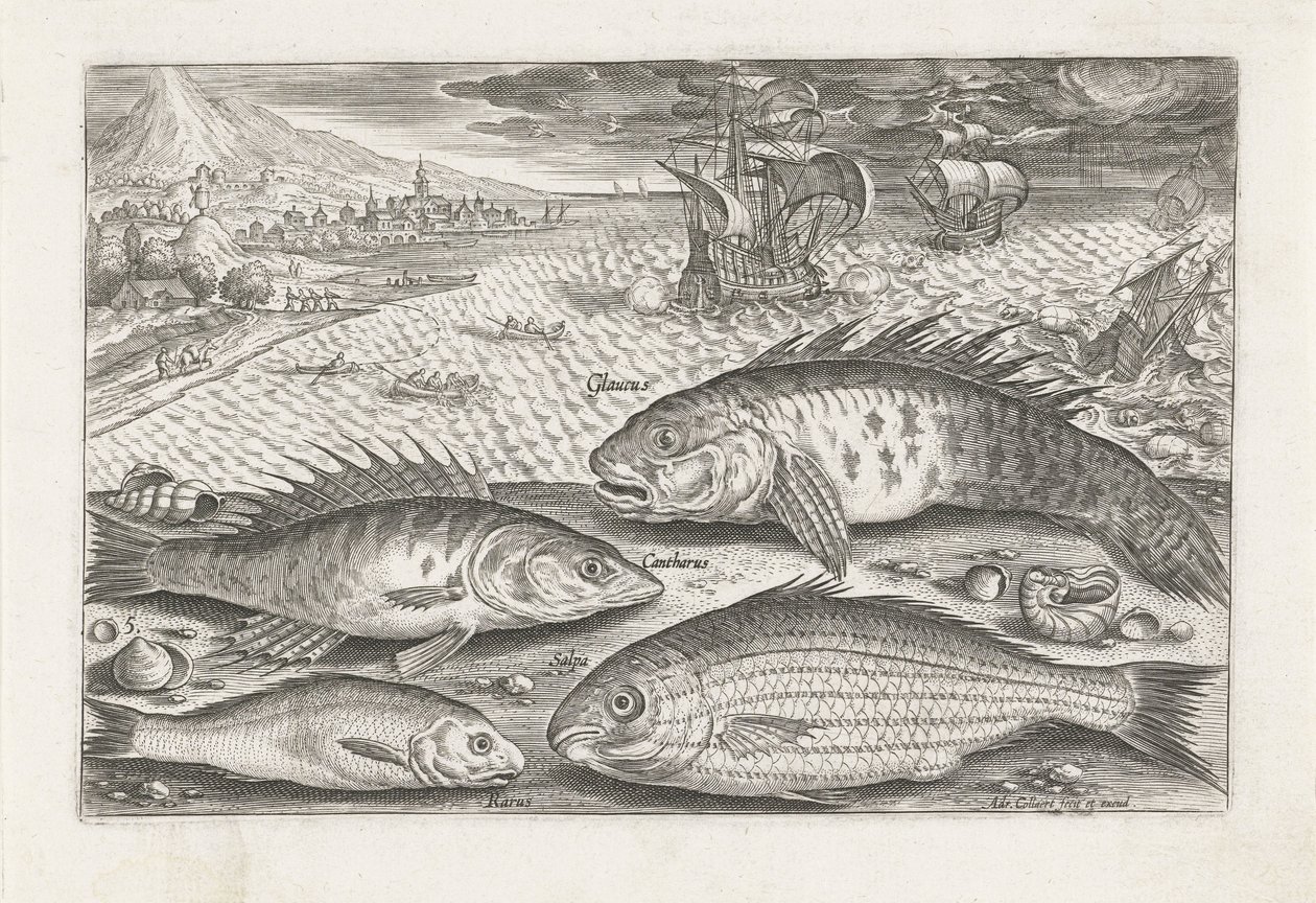Fyra fiskar på stranden Fiske (serietitel) Piscium vivae-ikoner (serietitel) av Adriaen Collaert