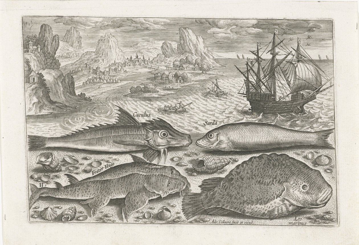 Fyra fiskar på stranden Fiske (serietitel) Piscium vivae-ikoner (serietitel) av Adriaen Collaert