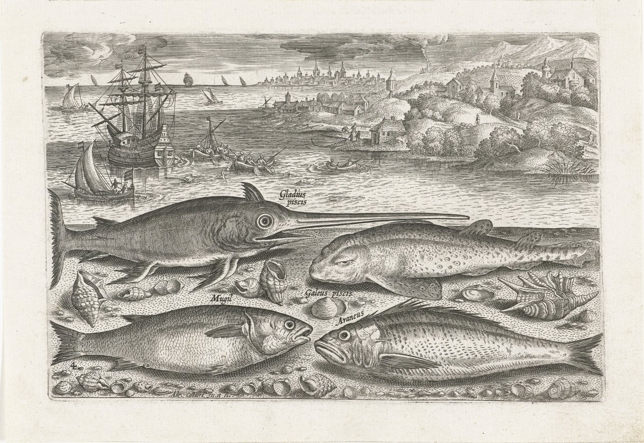 Fyra fiskar på stranden Fiske (serietitel) Piscium vivae-ikoner (serietitel) av Adriaen Collaert