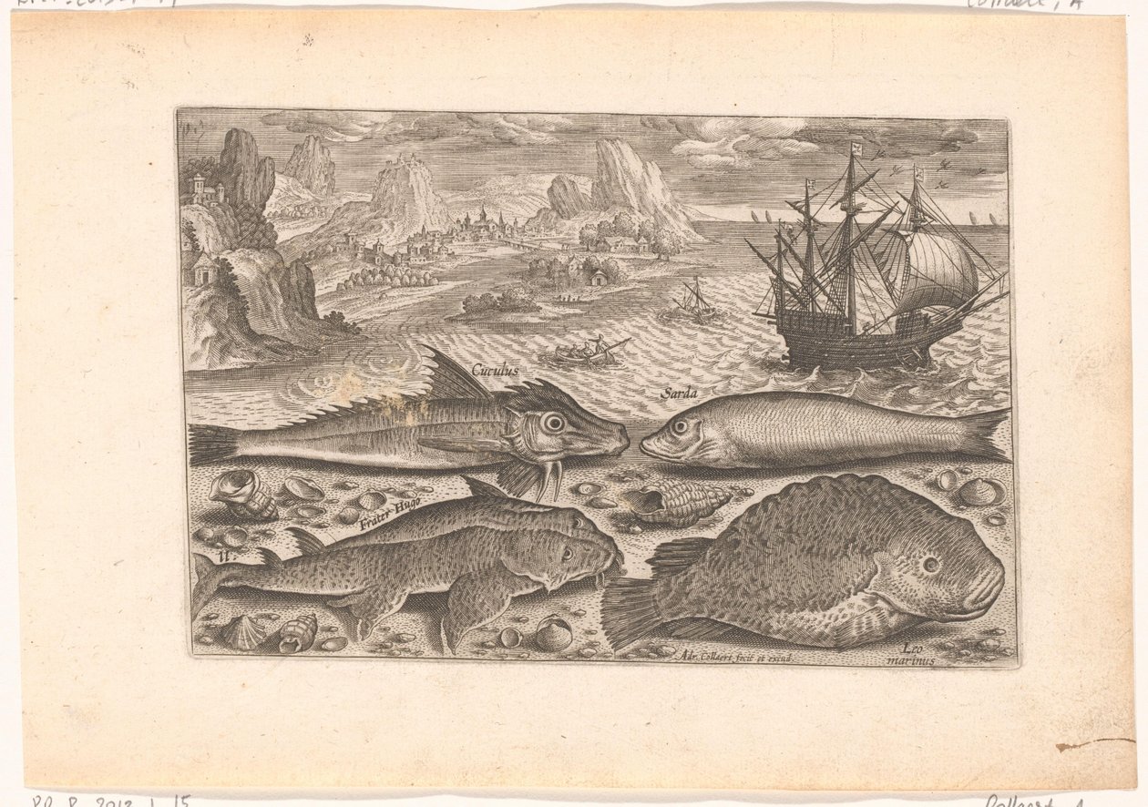 Fyra fiskar på stranden Fiske (serietitel) Piscium vivae-ikoner (serietitel) av Adriaen Collaert