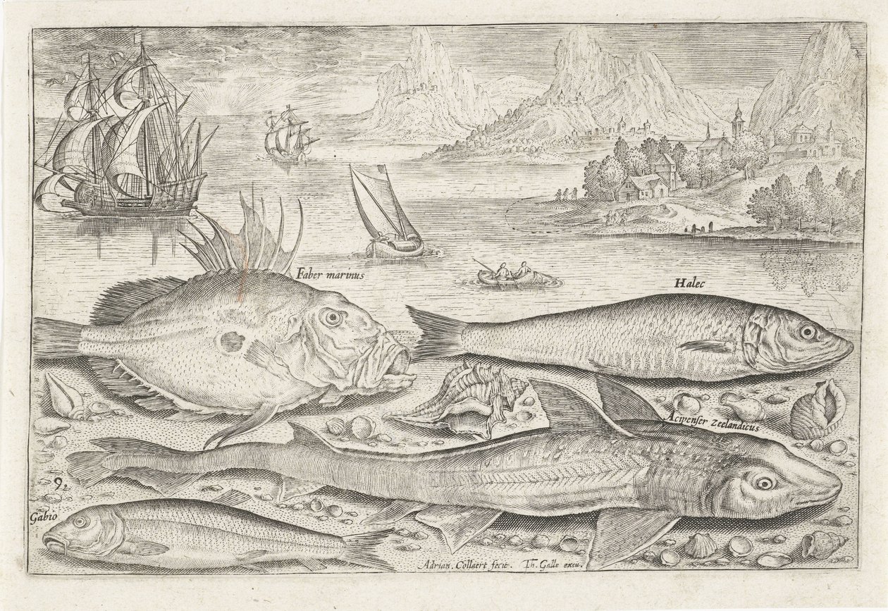 Fyra fiskar på stranden Fiske (serietitel) Piscium vivae-ikoner (serietitel) av Adriaen Collaert